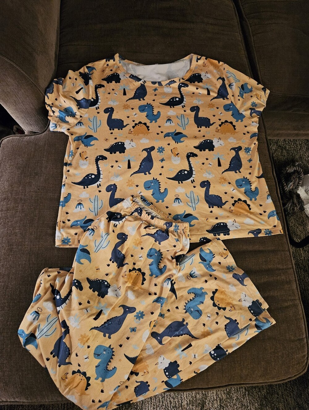 Colorful Dinosaur print pajama lounge 2-piece set size large